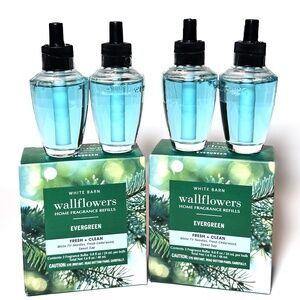 EVERGREEN Wallflowers